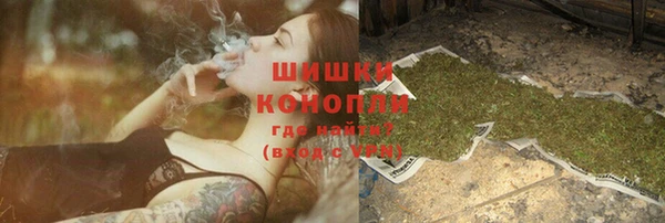 PSILOCYBIN Богородск