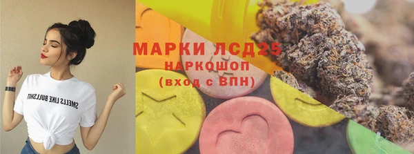 PSILOCYBIN Богородск