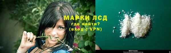 PSILOCYBIN Богородск