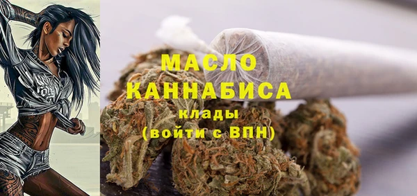 винт Богданович