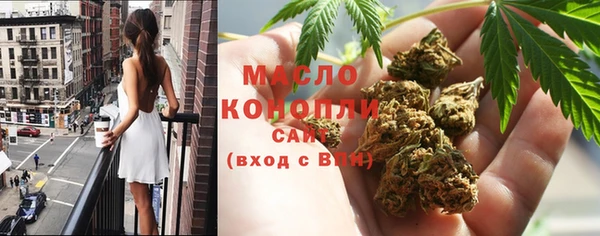 спиды Бородино