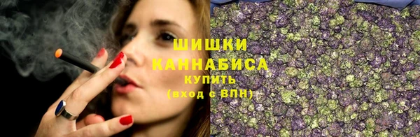 винт Богданович