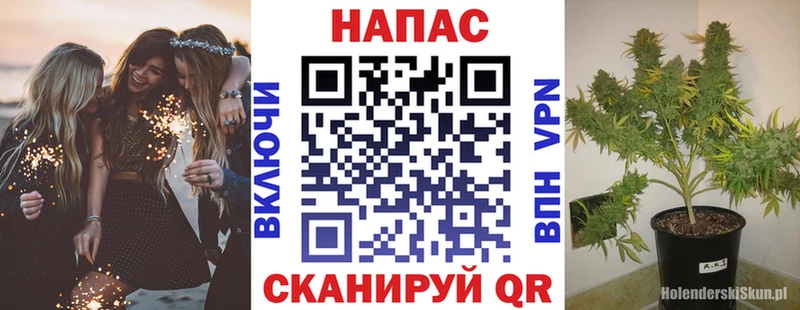 МАРИХУАНА сатива  omg маркетплейс  Нахабино 